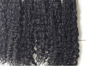 Burmese Curly